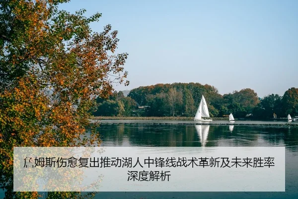 詹姆斯伤愈复出推动湖人中锋线战术革新及未来胜率深度解析